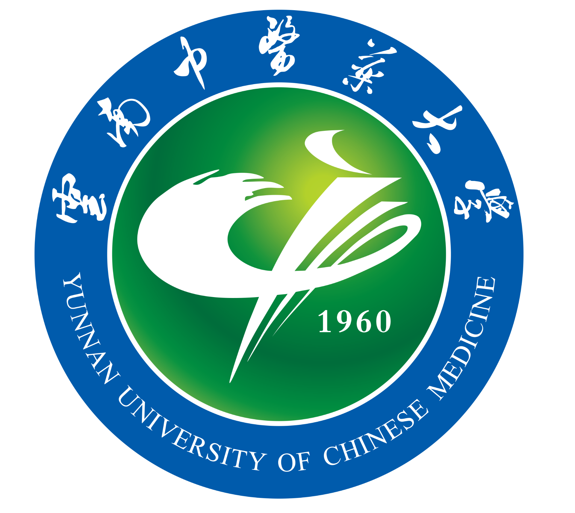 云南名老中医临床教学案例库