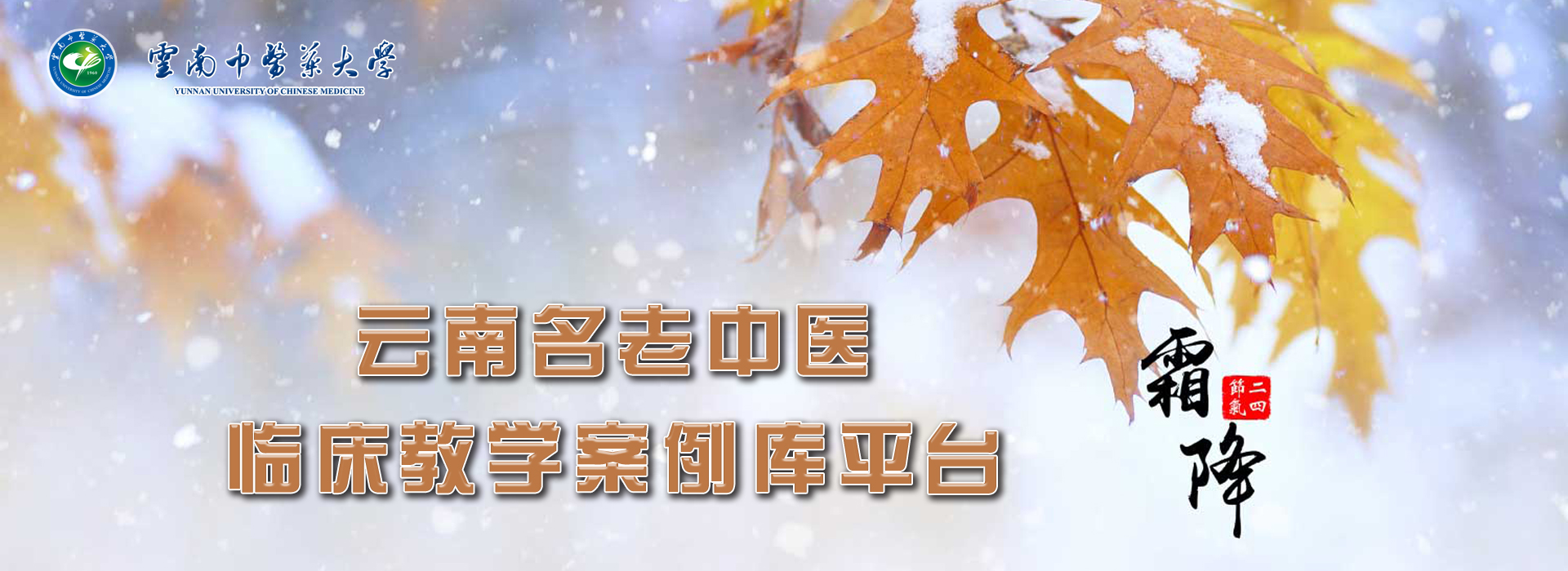 云南名老中医临床教学案例库平台